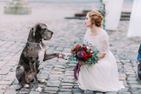 How to include your dog in your wedding 